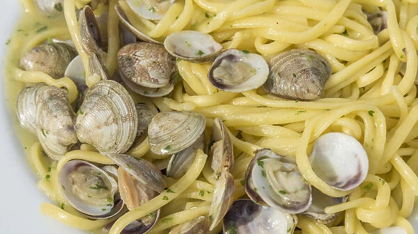 Europe, Italy, the Marches. Spaghetti with clams
