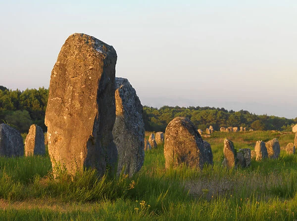 France, Brittany, Morbihan, Carnac, megalithic menhir alignments of Menec