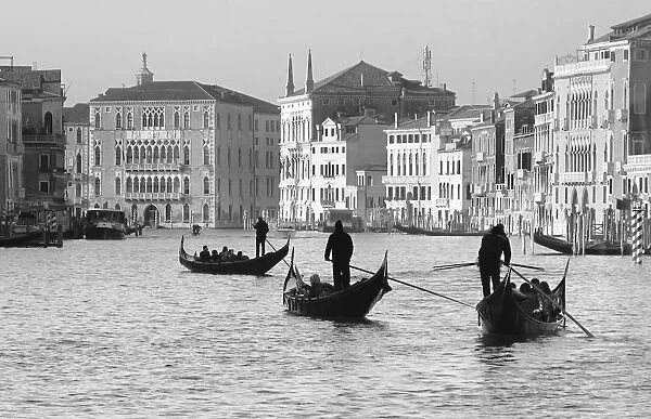 Gondoliers on the Gran Canal, Venice, Veneto region, Italy