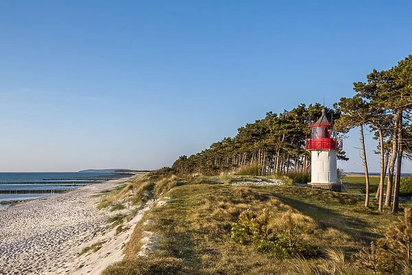 Lighthouse and beach, Gellen, Hiddensee island, Mecklenburg-Western Pomerania, Germany