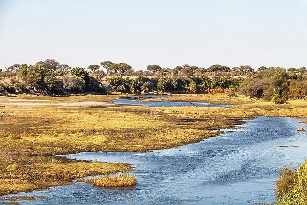 Makgadikgadi Pans National Park, Makadikadi Basin, Boteti River, Botswana, Africa