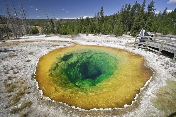 Morning Glory Pool, Yellowstone National Park, Wyoming, USA