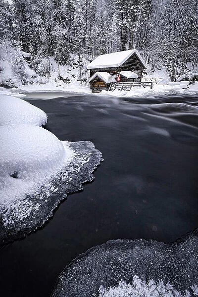Myllykoski frozen rapids and snowy mill into an arctic forest, Juuma, Oulanka National Park, Kuusamo, Lapland, Finland