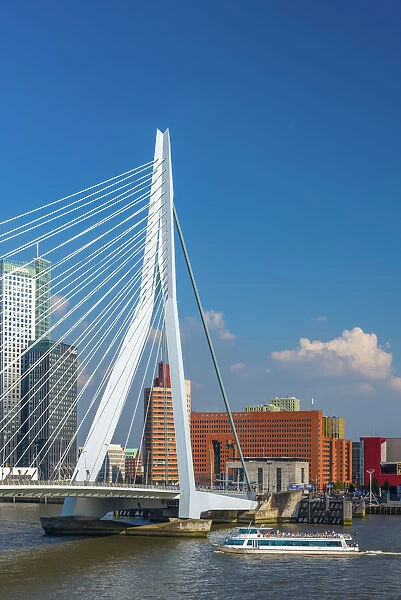 Netherlands, South Holland, Rotterdam, Erasmusbrug, Erasmus Bridge