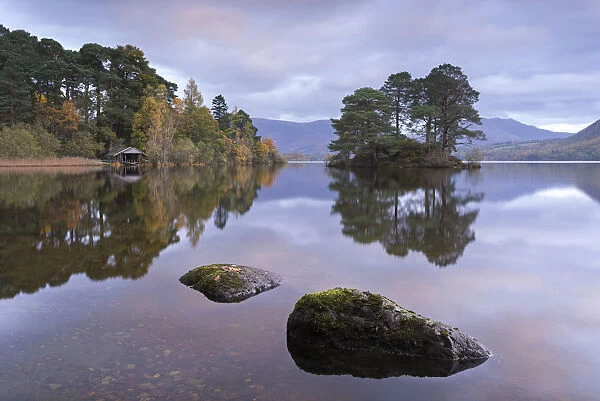 Otter Island near the southern shores of Derwent Water, Lake District, Cumbria, England