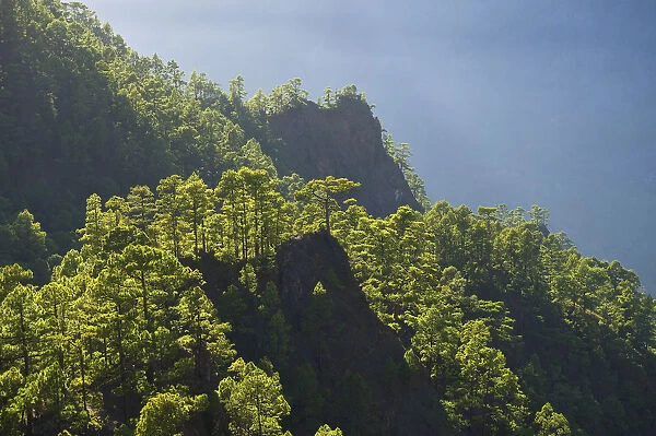 Parque Nacional de la Caldera de Taburiente, Mirador de Las Chozas, La Palma, Canaries