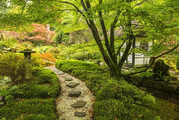Path Through Japanese Garden, Tatton Park, Cheshire, England