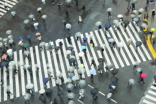 People walking across Shibuya Crossing, Shibuya, Tokyo, Japan