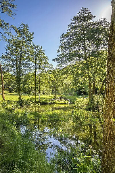 Pond in the spa gardens of Koenigstein, Taunus, Hesse, Germany