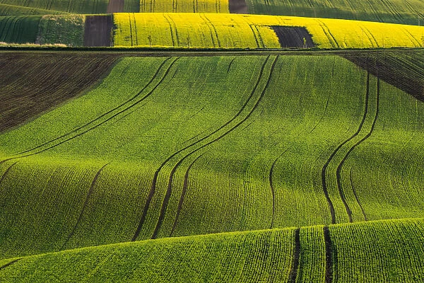 Scenic view of green rolling hills near Kyjov, Hodonin District, South Moravian Region, Moravia, Czech Republic