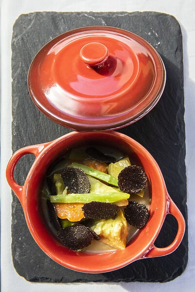 Spain, Aragon, Mora de Rubielos, Fresh vegetable soup with black truffle velouta©at
