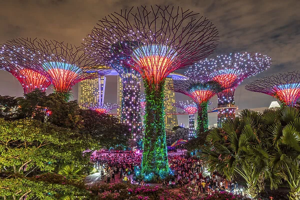 Image result for gardens by the bay in singapore