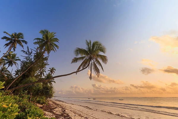 Tanzania. Zanzibar, Matemwe, Beach at dawn