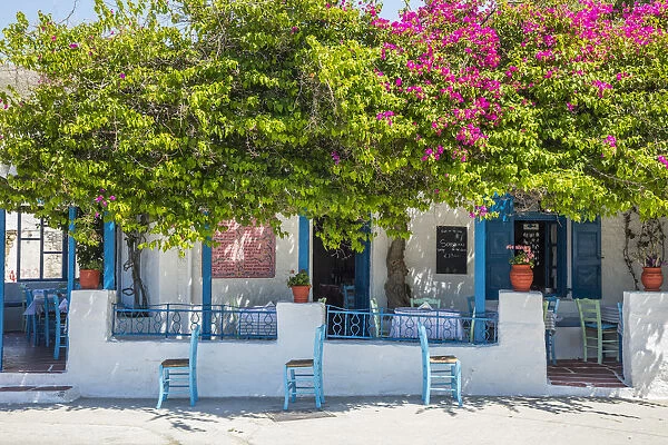 Taverna in Parikia, Paros, Cyclade Islands, Greece