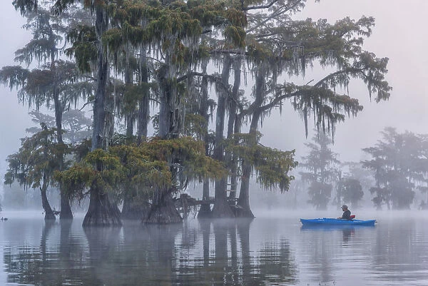 USA, Louisiana, St. Martins Parish, Lake Martin, woman in Kayak, MR