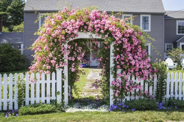 Usa New England Maine Cape Porpoise Flower Covered Gate
