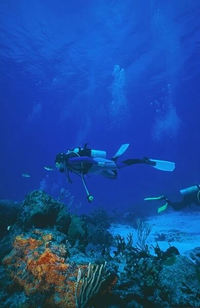 Divers on reef. Mexico
