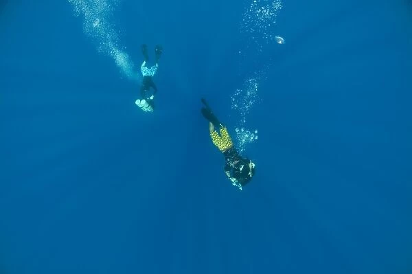 Divers. Zabargad, Red Sea, Egypt