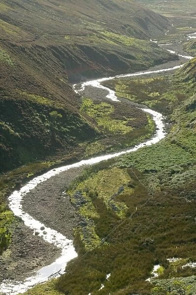 A meandering river in the Hareden Valley Trough of Bowland Lancashire UK