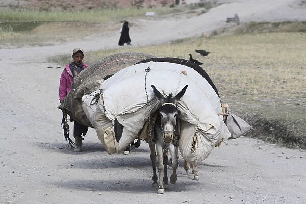 20085364. AFGHANISTAN Ghor Province Pal-Kotal-i-Guk Aimaq boy follows laden donkey