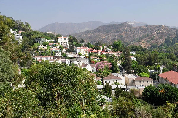 Hollywood Hills view