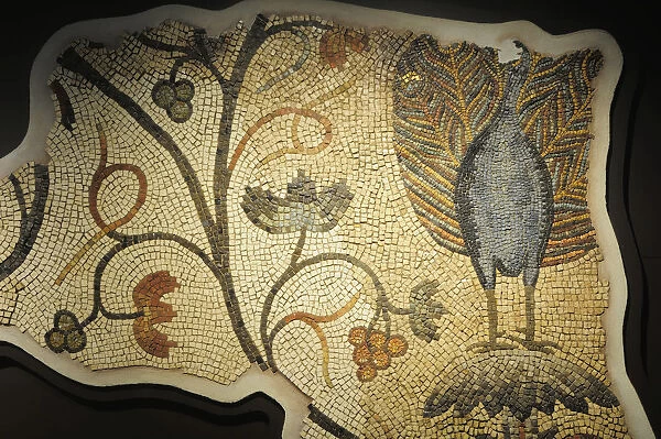Italy, Friuli Venezia Giulia, Aquileia, peacock mosaic detail