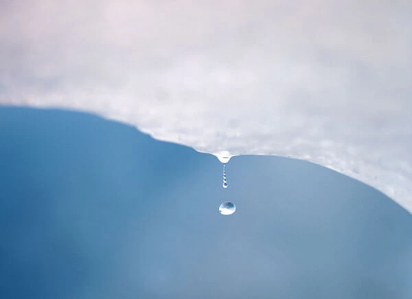 A drop of water falls from a melting piece of ice on Argentinas Perito Moreno glacier
