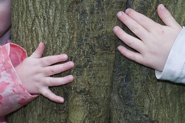 Kids hugging tree in Bluebell wood Bucks UK April