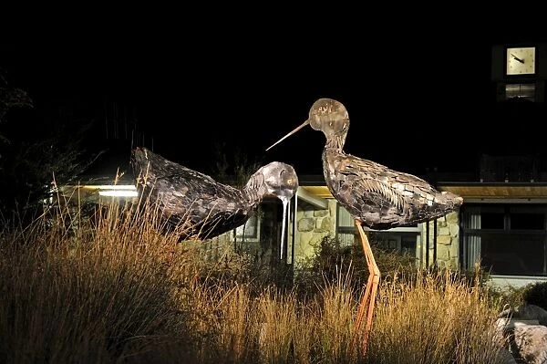 Metal sculptures of the Black Stilt (Kaki) in the market place Twizel made by local