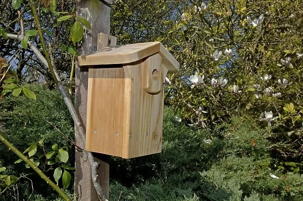 Nestbox for tits