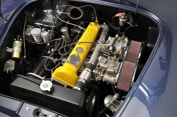 1961 Lotus Elite engine