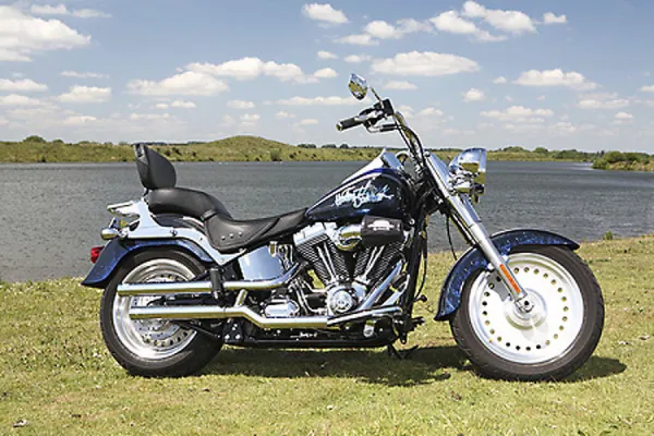 Harley Davidson fatboy with custom paint job For sale as Framed