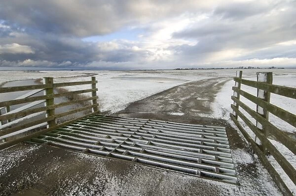 Cattle grid and grazing marsh habitat in snow, Elmley Marshes N. N. R. North Kent Marshes, Isle of Sheppey, Kent