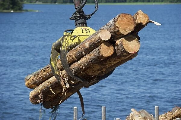Grapple loading logs onto timber barge, Archipelago Sea, Baltic Sea, Sweden, june