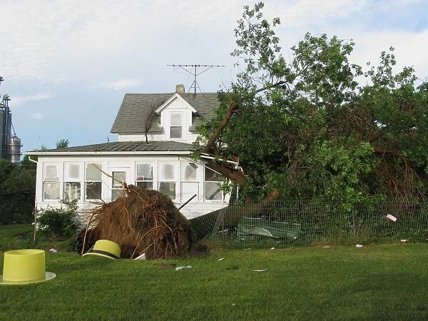 Tornado storm damage, uprooted tree fallen onto house, Oakes, North Dakota, U. S. A. july 2011