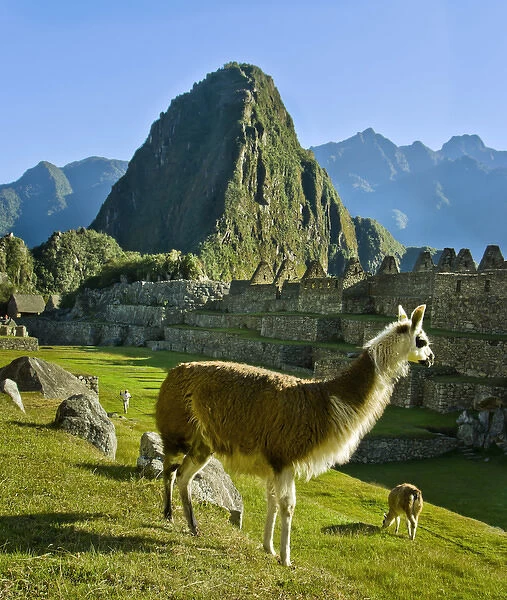 Ancient Machu Picchu, last refuge of the vanished Inca civilization in the Andes Mountains