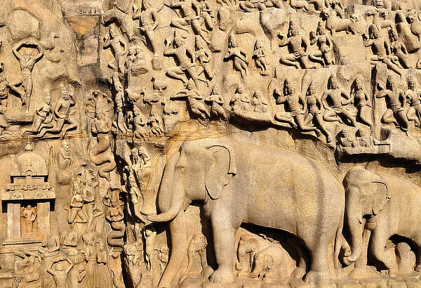 Asia, India, Tamil Nadu, Mahabalipuram. The Bhagirathas Penance bas relief