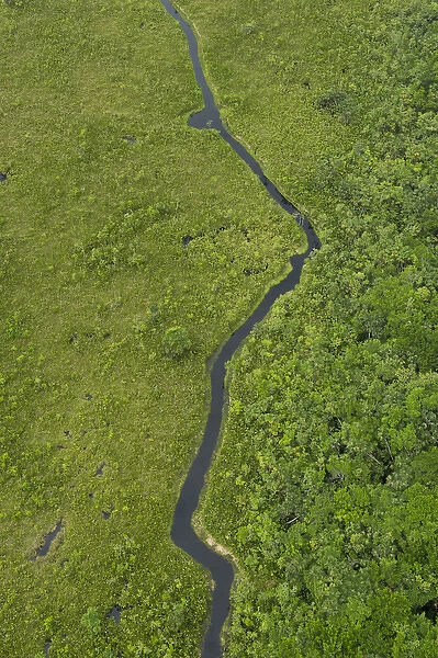 Blackwater swamp, Yasuni National Park, Amazon Rainforest, ECUADOR. South America