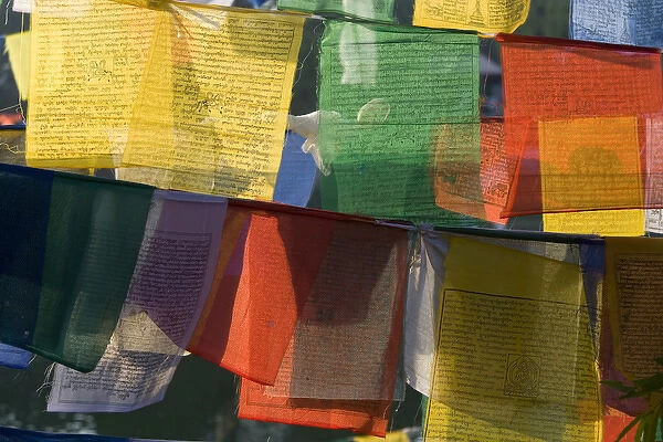 Buddhist prayer flags, Bodh Gaya, Bihar, India