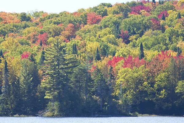 Canada, Quebec, Mount Tremblant National Park. Fall colors along Lake Monroe. Credit as
