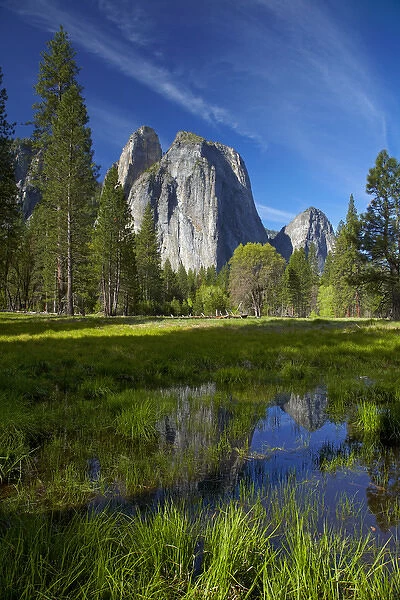 Cathedral Rocks reflected in a pond in Yosemite Valley, Yosemite National Park, California