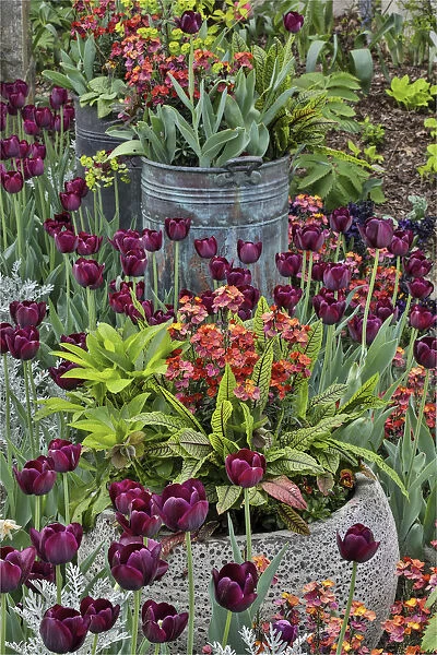Colorful planters at entrance to Chanticleer Garden, Wayne, Pennsylvania