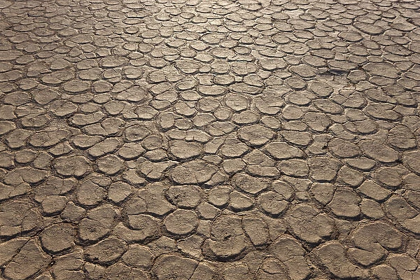 Dried clay pan, Dead Vlei, Namib Desert, Namibia