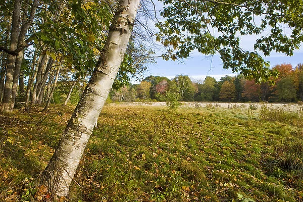 Fall foliage and hay field on the Benjamin Farm in Scarborough, Maine