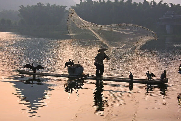 Fisherman fishing with cormorants on bamboo raft on Li River at dusk, Yangshuo, Guangxi