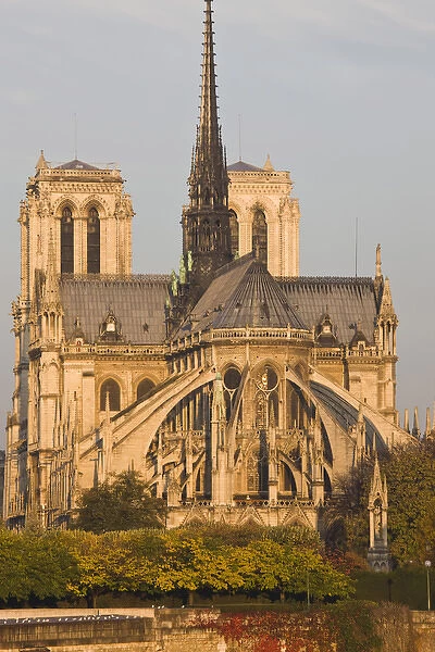 France, Paris, Notre-Dame cathedral, morning