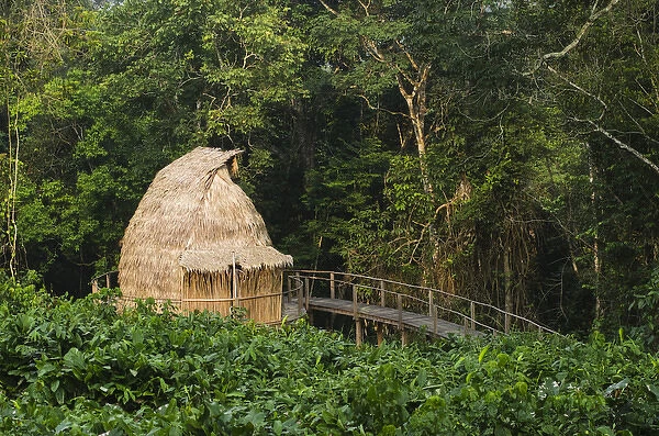 Guest cabin, Ngaga Camp, Republic of Congo (Congo - Brazzaville), AFRICA