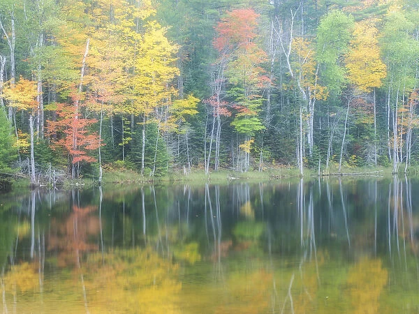 North America, USA, Michigan, Upper Peninsula. Fall color reflectiong in Thornton Lake