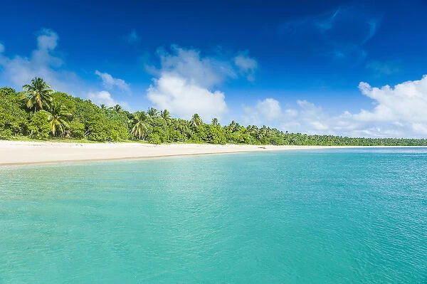 Palm fringed white sand beach in Haa'apai, Haapai, islands, Tonga, South Pacific