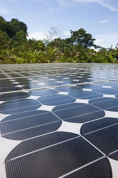 Solar panels under a blue sky power Sirena Biological Station in the heart of the